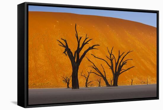 Namib-Naukluft National Park, Namibia-Art Wolfe-Framed Stretched Canvas