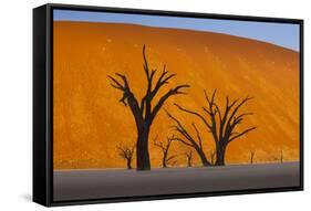 Namib-Naukluft National Park, Namibia-Art Wolfe-Framed Stretched Canvas