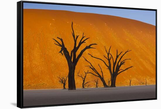 Namib-Naukluft National Park, Namibia-Art Wolfe-Framed Stretched Canvas