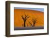 Namib-Naukluft National Park, Namibia-Art Wolfe-Framed Photographic Print