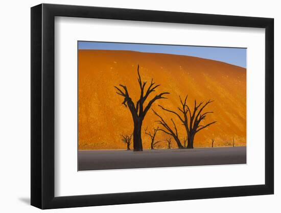 Namib-Naukluft National Park, Namibia-Art Wolfe-Framed Photographic Print