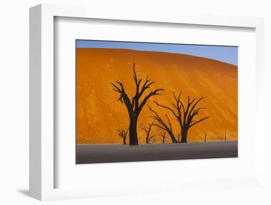 Namib-Naukluft National Park, Namibia-Art Wolfe-Framed Photographic Print