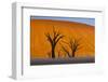 Namib-Naukluft National Park, Namibia-Art Wolfe-Framed Photographic Print