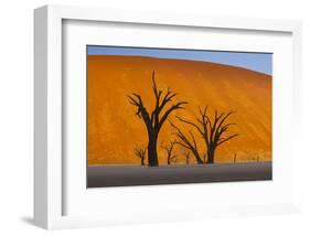 Namib-Naukluft National Park, Namibia-Art Wolfe-Framed Photographic Print