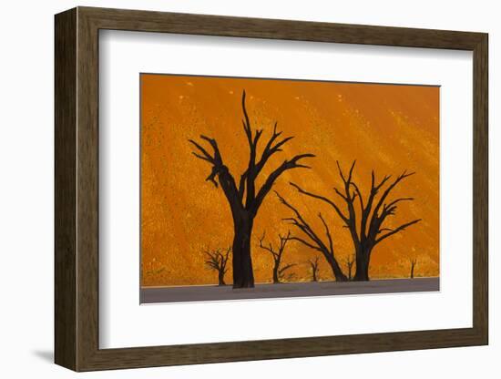 Namib-Naukluft National Park, Namibia-Art Wolfe-Framed Photographic Print