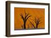 Namib-Naukluft National Park, Namibia-Art Wolfe-Framed Photographic Print