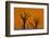 Namib-Naukluft National Park, Namibia-Art Wolfe-Framed Photographic Print