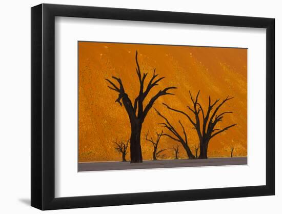 Namib-Naukluft National Park, Namibia-Art Wolfe-Framed Photographic Print