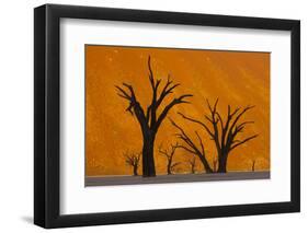 Namib-Naukluft National Park, Namibia-Art Wolfe-Framed Photographic Print