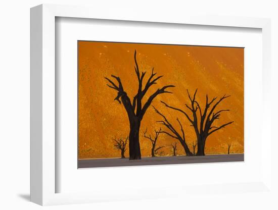 Namib-Naukluft National Park, Namibia-Art Wolfe-Framed Photographic Print