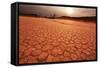 Namib on Sunset-Andrushko Galyna-Framed Stretched Canvas