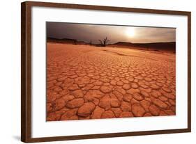 Namib on Sunset-Andrushko Galyna-Framed Photographic Print