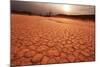 Namib on Sunset-Andrushko Galyna-Mounted Photographic Print