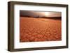 Namib on Sunset-Andrushko Galyna-Framed Photographic Print