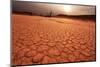 Namib on Sunset-Andrushko Galyna-Mounted Photographic Print