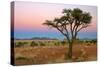 Namib Rand View over Dunes and Savannah Towards-null-Stretched Canvas