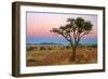 Namib Rand View over Dunes and Savannah Towards-null-Framed Photographic Print