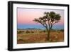 Namib Rand View over Dunes and Savannah Towards-null-Framed Photographic Print