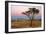 Namib Rand View over Dunes and Savannah Towards-null-Framed Photographic Print