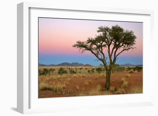 Namib Rand View over Dunes and Savannah Towards-null-Framed Photographic Print