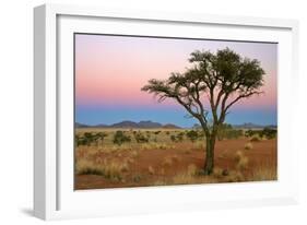 Namib Rand View over Dunes and Savannah Towards-null-Framed Photographic Print