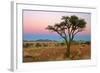 Namib Rand View over Dunes and Savannah Towards-null-Framed Photographic Print