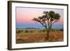 Namib Rand View over Dunes and Savannah Towards-null-Framed Photographic Print