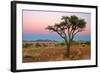 Namib Rand View over Dunes and Savannah Towards-null-Framed Photographic Print