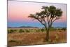 Namib Rand View over Dunes and Savannah Towards-null-Mounted Photographic Print