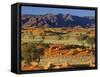 Namib Rand View over Red Dunes and Savanna-null-Framed Stretched Canvas