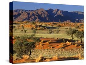 Namib Rand View over Red Dunes and Savanna-null-Stretched Canvas