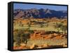 Namib Rand View over Red Dunes and Savanna-null-Framed Stretched Canvas