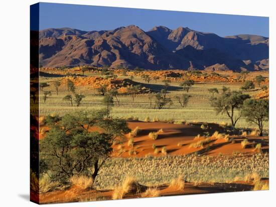 Namib Rand View over Red Dunes and Savanna-null-Stretched Canvas