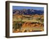 Namib Rand View over Red Dunes and Savanna-null-Framed Photographic Print