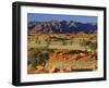 Namib Rand View over Red Dunes and Savanna-null-Framed Photographic Print