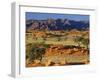 Namib Rand View over Red Dunes and Savanna-null-Framed Photographic Print