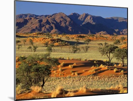 Namib Rand View over Red Dunes and Savanna-null-Mounted Photographic Print