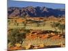 Namib Rand View over Red Dunes and Savanna-null-Mounted Photographic Print