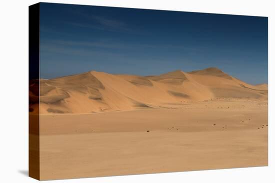 Namib Sand Desert near Swakopmund-Circumnavigation-Stretched Canvas