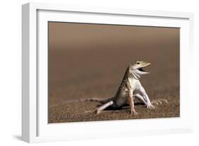 Namib Sand-diving Lizard-Tony Camacho-Framed Photographic Print