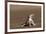 Namib Sand-diving Lizard-Tony Camacho-Framed Photographic Print