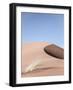 Namib Two-Shot by Clint-Framed Giclee Print