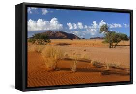 Namib View from Elim Dune to the Naukluft Mountains-null-Framed Stretched Canvas