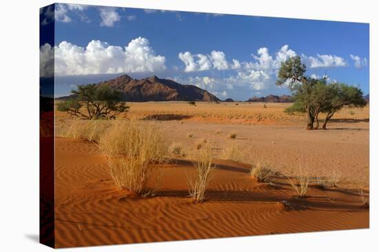 Namib View from Elim Dune to the Naukluft Mountains-null-Stretched Canvas