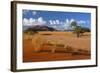 Namib View from Elim Dune to the Naukluft Mountains-null-Framed Photographic Print