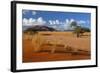 Namib View from Elim Dune to the Naukluft Mountains-null-Framed Photographic Print