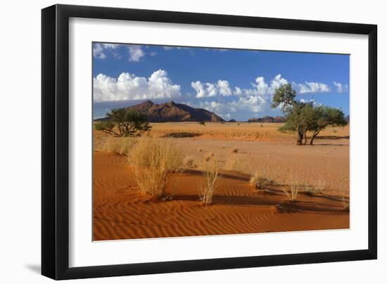 Namib View from Elim Dune to the Naukluft Mountains-null-Framed Photographic Print