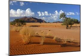 Namib View from Elim Dune to the Naukluft Mountains-null-Mounted Photographic Print