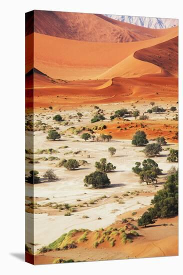 Namib-Andrushko Galyna-Stretched Canvas