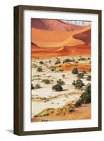 Namib-Andrushko Galyna-Framed Photographic Print